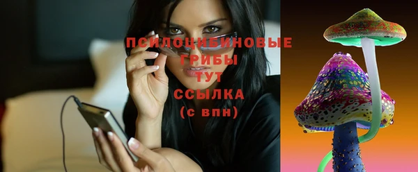 скорость Алзамай
