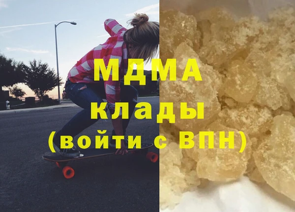 индика Алексин