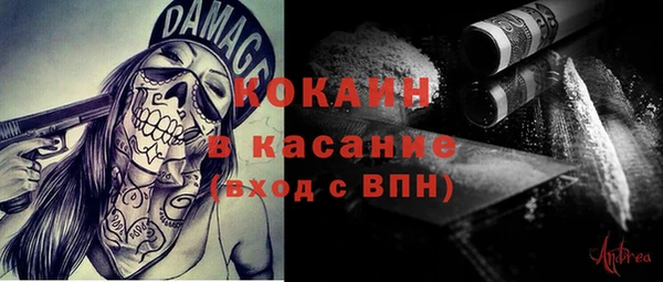 индика Алексин