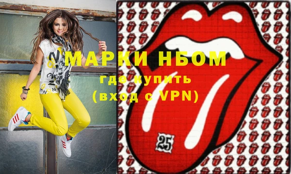 индика Алексин