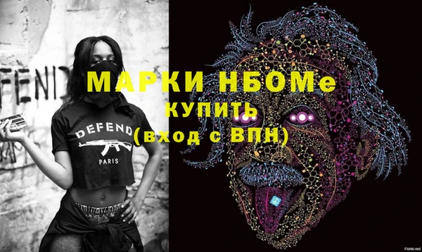 индика Алексин