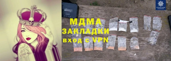 индика Алексин